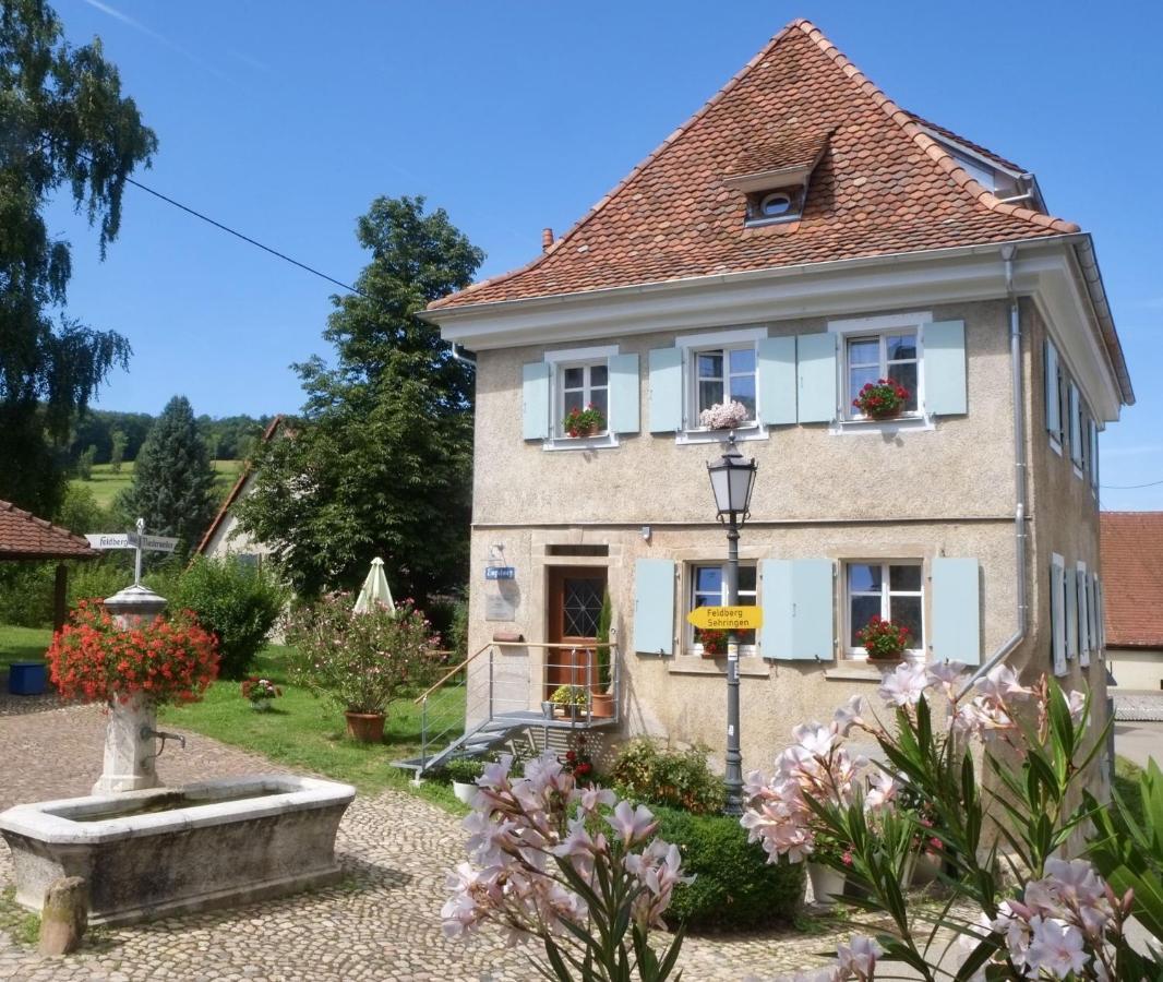 Ferienhaus Zur Alten Dame Badenweiler Zewnętrze zdjęcie