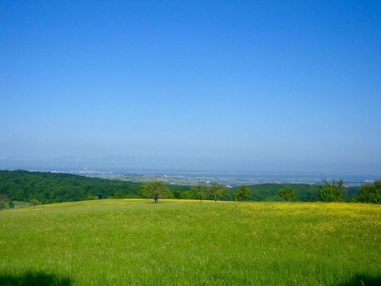 Ferienhaus Zur Alten Dame Badenweiler Zewnętrze zdjęcie